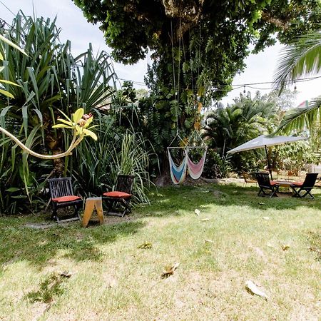 Bajo El Arbol B&B Playa Santa Teresa  エクステリア 写真