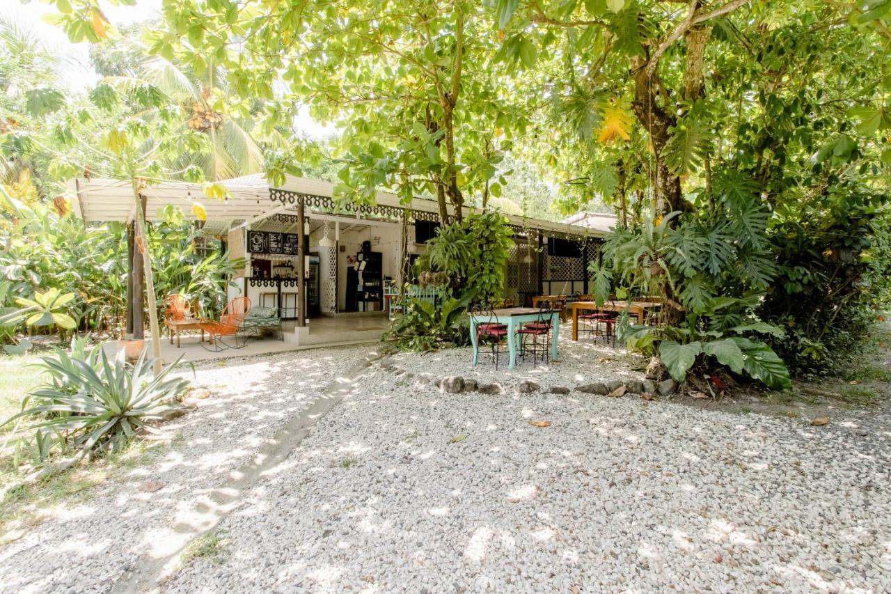 Bajo El Arbol B&B Playa Santa Teresa  エクステリア 写真