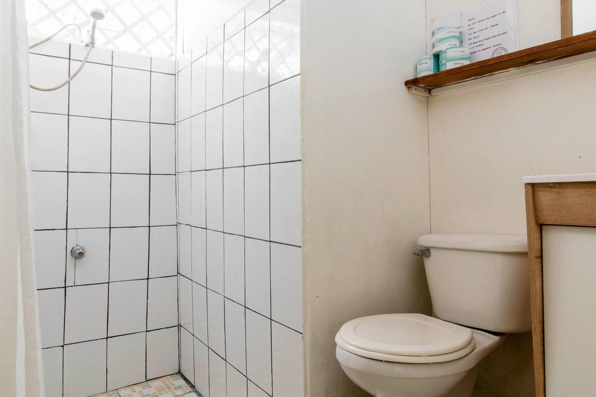 Bajo El Arbol B&B Playa Santa Teresa  エクステリア 写真