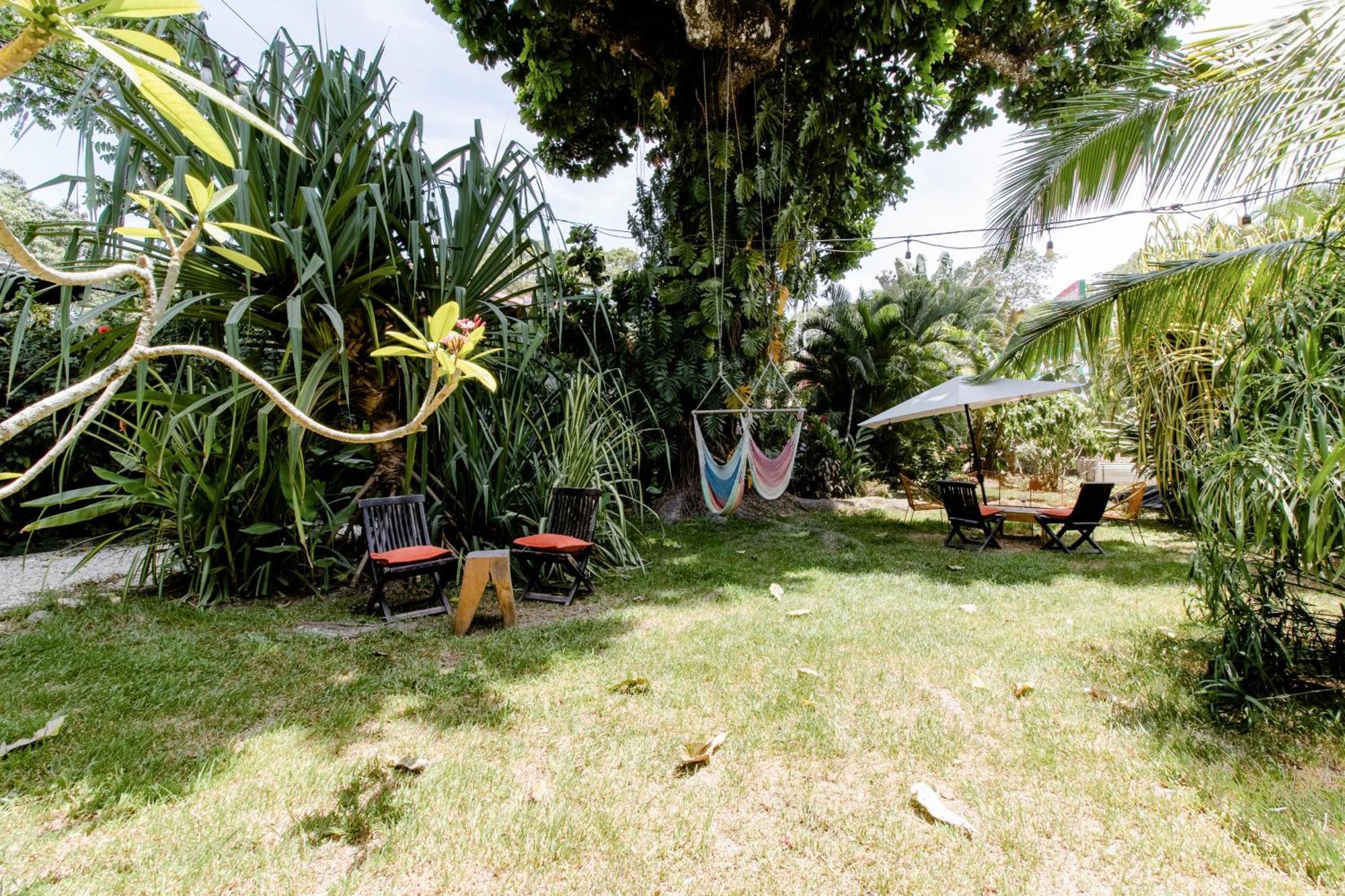 Bajo El Arbol B&B Playa Santa Teresa  エクステリア 写真
