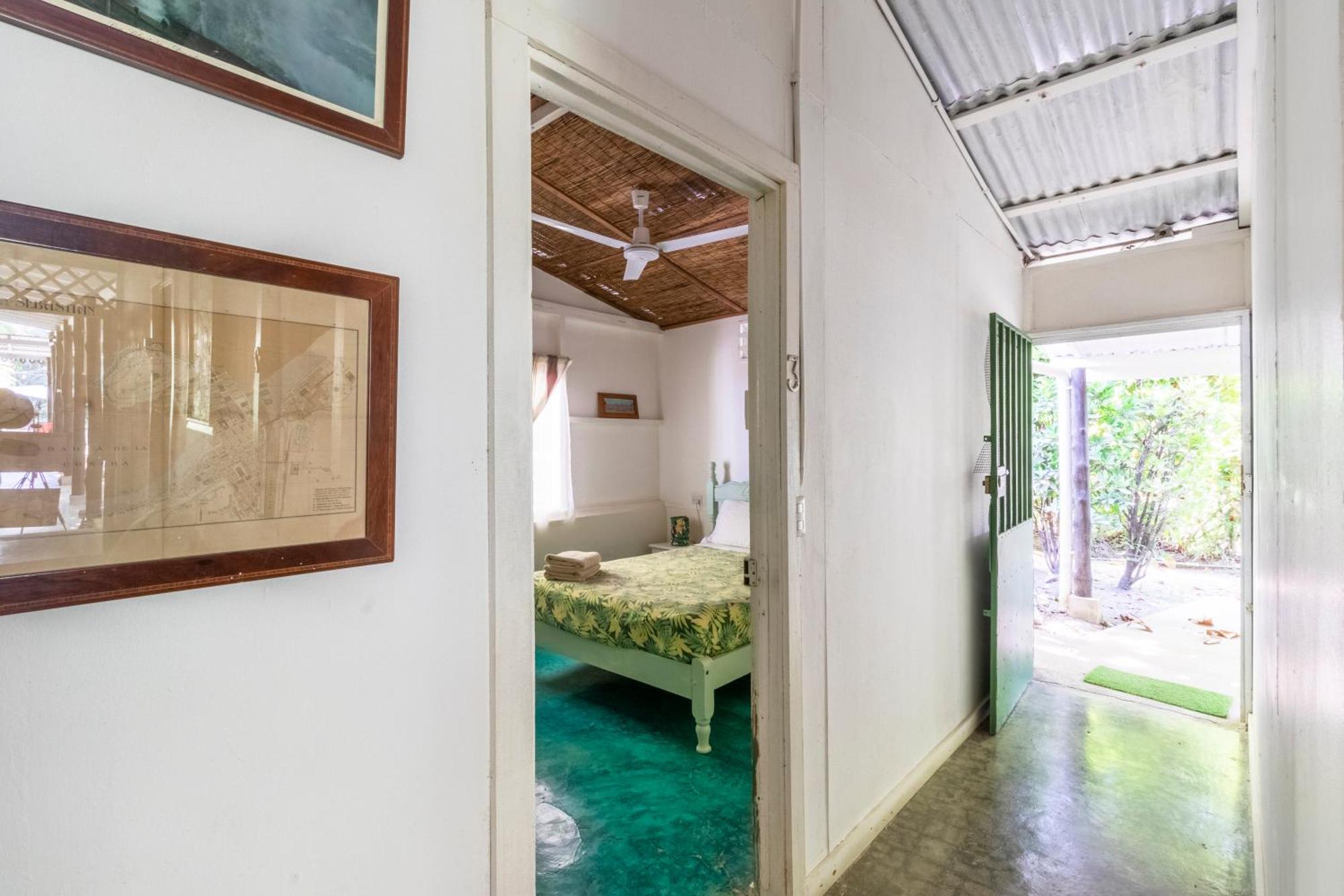 Bajo El Arbol B&B Playa Santa Teresa  エクステリア 写真