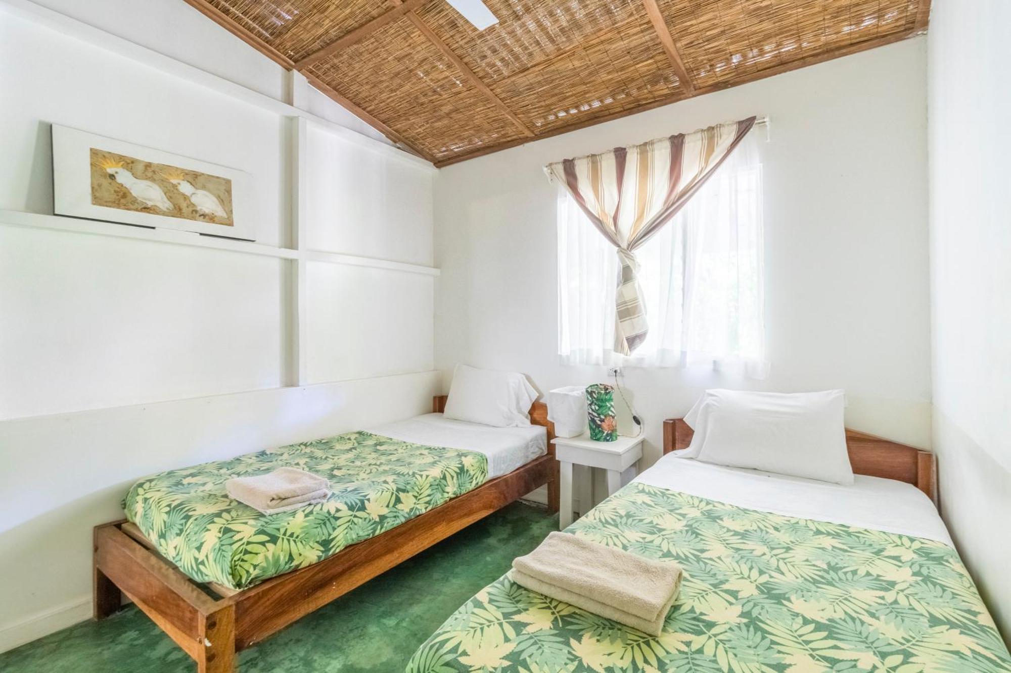 Bajo El Arbol B&B Playa Santa Teresa  エクステリア 写真