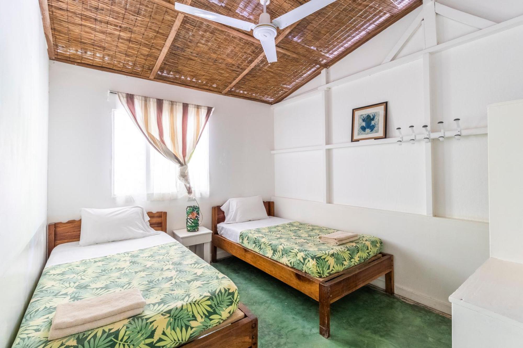 Bajo El Arbol B&B Playa Santa Teresa  エクステリア 写真