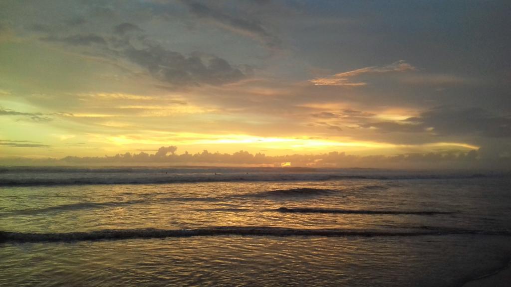 Bajo El Arbol B&B Playa Santa Teresa  エクステリア 写真