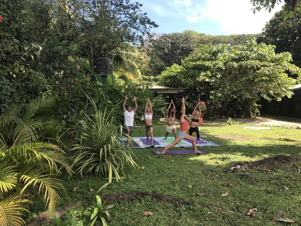 Bajo El Arbol B&B Playa Santa Teresa  エクステリア 写真