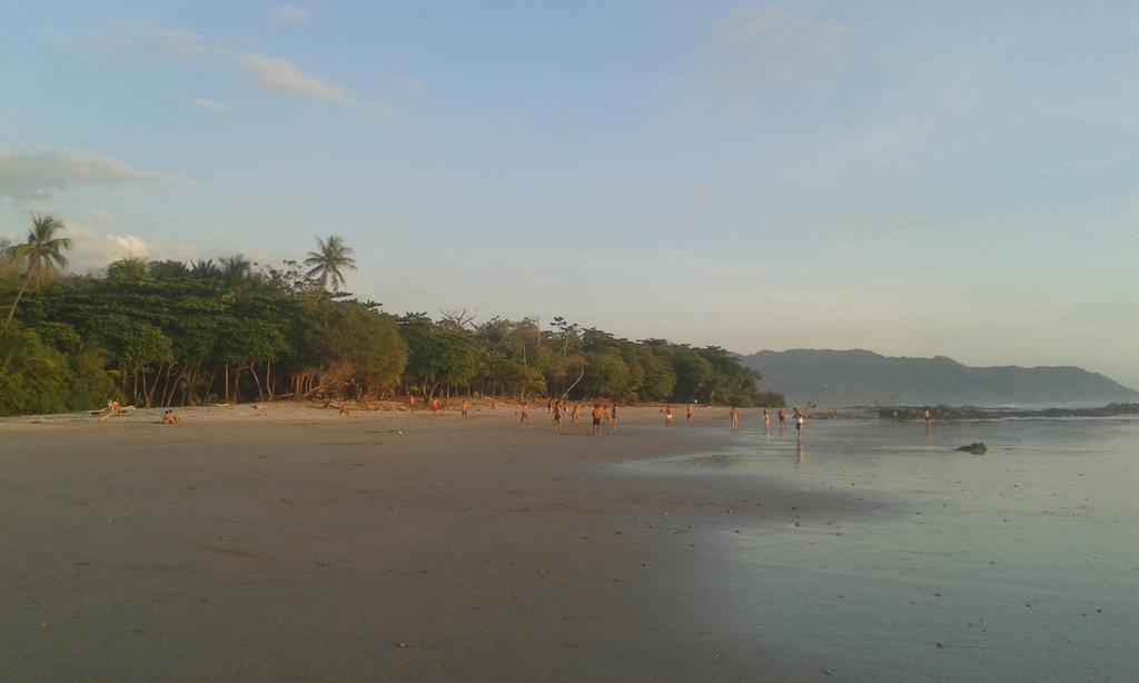 Bajo El Arbol B&B Playa Santa Teresa  エクステリア 写真